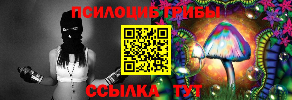 Псилоцибиновые грибы мицелий Ишимбай